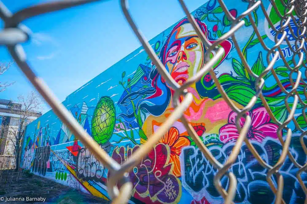 denver colorado murals exploring the citys vibrant