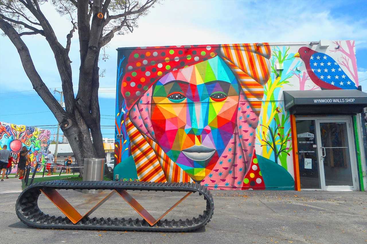 Exploring Wynwood's Murals and Installations