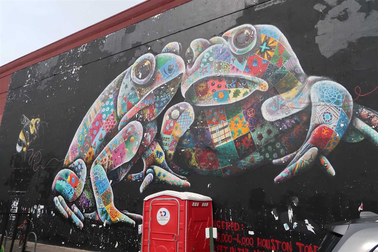 Austin: A Canvas for Street Art