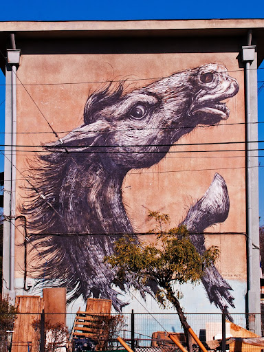 Roa’s “Horse” Mural at Museo a Cielo Abierto en San Miguel