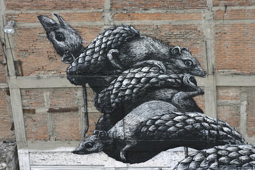 Roa: Exploring the Interplay of Life and Death through Street Art